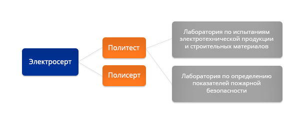 Структура организации